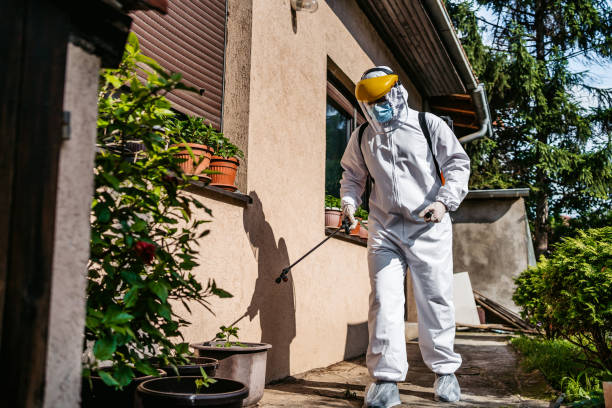 Best Emergency Pest Control  in West Haven, UT